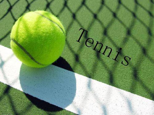 技和体能的 技和体能的